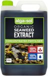 ALGA-SOL Cold Press Concentrate Sea