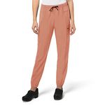 Carhartt Women's Modern Fit Jogger Pant, Mauve, Large