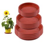 12 Pcs Plant Pot Saucers, 5.5/6.3/7.1 Inch Round Plant Saucer, Red Plastic Plant Pot Trays, Plant Trays for Pots, Flower Pot Drip Dishes for Indoor Outdoor Garden Household Potted Plants