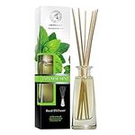 Reed Diffuser Japanese Mint 100ml - Room Diffuser with Natural Japanese Mint Essential Oil - Mint Scent - Fragrance Diffuser with Rattan Sticks - Room Freshener - Scented Diffusers - Home Fragrance