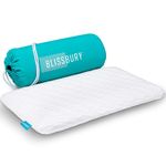 BLISSBURY 6.5cm Ultra Thin Pillow for Sleeping | Premium Memory Foam Flat Pillow for Stomach Sleeping | for Back & Stomach Sleeper | Certified Foam for Neck and Back Support | Removable Case