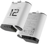 TELESIN Enduro Battery (2-Pack) for