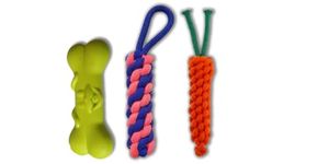 emily pets Rope Toys for Dogs Puppy Chew Teething Rope Toys Durable Cotton Dog Toys for Playing and Teeth Cleaning Training Toy (Pack of 3,Color May Vary)