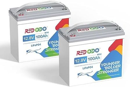 Redodo 2 Pack 12V 100Ah Mini LiFePO4 Lithium Battery, 1280Wh Deep Cycle Battery with Upgraded 100A BMS, UP to 15000 Cycles, Perfect for RV, Camping, Solar Home Storage, Off-Grid, Trolling Motor