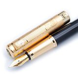 czxwyst Picasso 902 Gentleman Collection Fountain Pen Original Box (Relievo1)