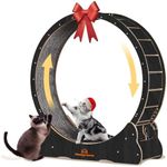 Homegroove Cat Wheels for Indoor Ca