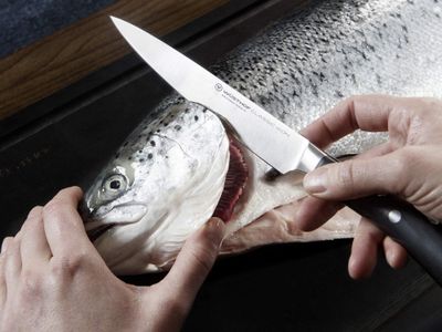 Wüsthof Classic Ikon 8-Inch Carving Knife – Precision German Steel