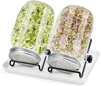 Diealles Shine Juego de 2 Tarros de Cristal Germinado de 950 ml para Brotes con 2 Soportes Ajustables, 2 Filtros de Acero Inoxidable, 1 Plato de Plástico, Tarro de Brotes para Cría de Brotes