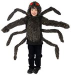 Rubie's Princess Paradise Baby's Child Tarantula Hoodie, Black, Small/Medium