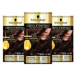 Schwarzkopf Oleo Intense Brown Hair Dye, Permanent Oil Colour, No Ammonia, Covers Greys, 4-86 Chocolate Brown (Pack of 3)