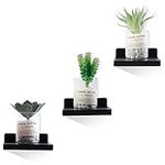 NIUBEST Small Floating Shelf, Set of 3 Black Shelf for Wall Decor Storage Wall Mounted Small Wall Shelf for Bedroom Living Room Bathroom Kitchen -5x5 Inch