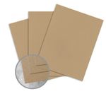 ENVIRONMENT Desert Storm Card Stock - 8 1/2 x 11 in 100 lb Cover Smooth 100% Recycled 250 per Package by Neenah Paper ENVIRONMENT