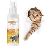 WERPOWER Cat-Repellent-Sprays-Anti-Scratch-Cat-Training-Spray & Scratch Deterrent Spray for Furniture Protection, 100ml, Orange
