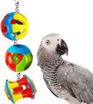 FidosFav Bird Parrot Chew Toy Ball Toys Colorful Durable Hanging Bird Toys Acrylic Parrot Cage Bite Toy Parrotlet Budgie Quaker African