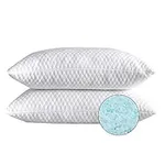 NTCOCO 2 Pillows, Shredded Memory F