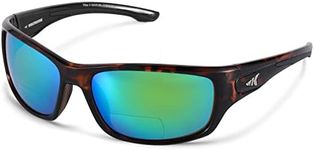 KastKing Ellijay Bifocal Polarized 