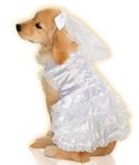 Rubies Costume Co Halloween Classics Collection Pet Costume, Small, Bride