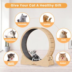 Homegroove XL Cat Exercise Wheel – Large Indoor Running Wheel