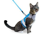 CAT SCHOOL Cat Harness and Leash Set for Walks & Travel - Secure Cat Vest Harness with 10’ Long Leash with Easy Instructions