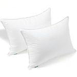 Fern and Willow Pillows for Sleeping - Set of 2 Queen Size Bed Pillow Set w/Luxury Plush Cooling Gel for Stomach, Back & Side Sleepers