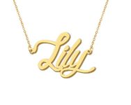 Lily Pendant Name Necklace 18k Gold Plated Stainless Steel Script Nameplate Necklace Jewelry for Best Friends