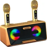 MASINGO Karaoke Machine for Adults and Kids with 2 Wireless Microphones, Portable Bluetooth Singing Speaker, Colorful LED Lights, PA System, Lyrics Display Phone Holder, and TV Cable. Presto G2 Gold