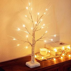 Woohaha 2FT Lighted Birch Tree with 24LT Warm White LEDs Battery Powered Timer Artificial Branch Tree for Valentines Day Decor Christmas Money Tree Gift Card Tree Home Party Festival Wedding Indoor