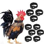 EZONEDEAL 10pcs No Crow Rooster Collar, Chicken Collar Anti-Hook Noise Free Neckband No Crow Noise Neck Belt for Roosters - Prevent Chickens from Screaming, Disturbing Neighbors