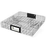 Rugged Ranch SQRTO Squirrelinator Trap CatchMor Live Animal 2 Door Metal Cage