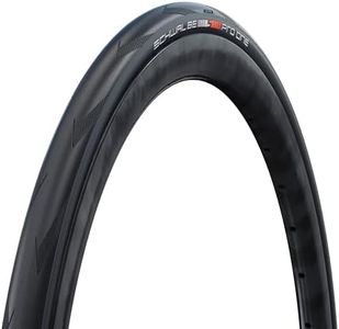 Schwalbe P