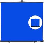 【Wider Style】 RAUBAY 78.7 x 78.7in Large Collapsible Blue Screen Backdrop Portable Retractable Chroma Key Panel Photo Background with Stand for Video Conference, Photographic Studio, Streaming