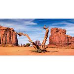 AWERT 72x16 inches Reptile Habitat Background Sky Oasis Mountain Cactus Sun and Desert Terrarium Background Polyester Background