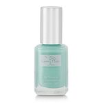 Karma Organic Natural Nail Polish-Non-Toxic Nail Art, Vegan and Cruelty-Free Nail Paint (LITTLE BLUE BOX)