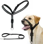 BARKLESS Dog Head Collar, Reflective Head Halter for Small Medium Large Dogs with Soft Padding, No Pull Dog Mouth Harness with Training Leash, Adjustable Muzzle Leash for Gentle Walking (Black, L)