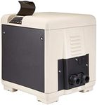 Pentair 461059 Master Temp 125K BTU