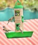 Big Bird Feeders