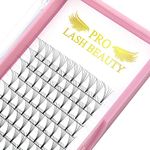 Premade Fans Eyelash Extensions 5D 3D 4D 6D Short Stem Lash Extensions Volume Lash Extensions .07 .10 Pre made Lash Fans C D Curl(5D-D-0.07,8-14mm)