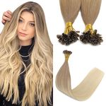 Sindra Pre Bonded U Tip Extensions Human Hair Light Ash Brown Fading to Platinum Blonde Remy Hair 16 Inch U Tip Hair Extensions Hot Fusion Keratin Hair Extensions 0.8g/strand 40grams (U860-16)