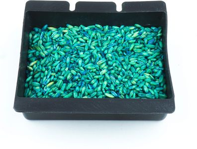 RatKil Rat Poison Bait – 6 x 25g Sachets