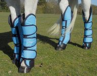 Rhinegold Elite Full Length Travel Boots-Cob-Turquoise/Navy