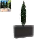 Cedar Tree Privacy Screen,Artificia