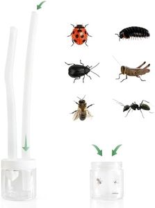 Insect Poo