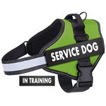 Belababy Soft No Pull Dog Harness Medium, Adjustable Assistance Service Dog Vest with Safety Buckle, Reflective Breathable Outdoor Training Dog Harness（Green）