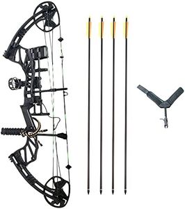 SAS Feud X 30-70 Lbs 19-31" Draw Length Compound Bow Pro Package for Hunting Field Target (Black)