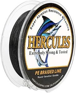 Hercules Super Strong 300M 328 Yards Braided Fishing Line 20 LB Test for Saltwater Freshwater PE Braid Fish Lines 4 Strands - Black, 20LB (9.1KG), 0.20MM