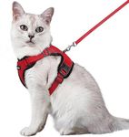 rabbitgoo Cat Harness and Leash for