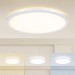 20 Inch Dimmable LED Flush Mount Ceiling Light, 3000K-4500K-6000K 3 Color Selectable Ceiling Lamp, 36W 4200LM Luminaire Plafonnier LED Light Fixtures for Kitchen Bedroom Living Room Hallway (White)