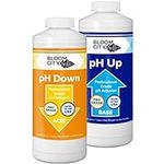 Bloom City Professional pH Up + Dow