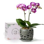 HERDUK Ceramic Orchid Pot, Orchid Pots with Drainage Holes & Saucer 6.5 Inch,Orchid Pot for Repotting Indoor, Orchid Containers with Precise Aeration & Drainage Dark Gray