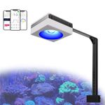 PopBloom RL90 WiFi Control Marine LED Lighting Aquarium Fish Tank Light for Marine Reef Coral 40-60cm, 80-120cm Fish Tank SPS LPS Soft Coral (100W RL90 WiFi Control)